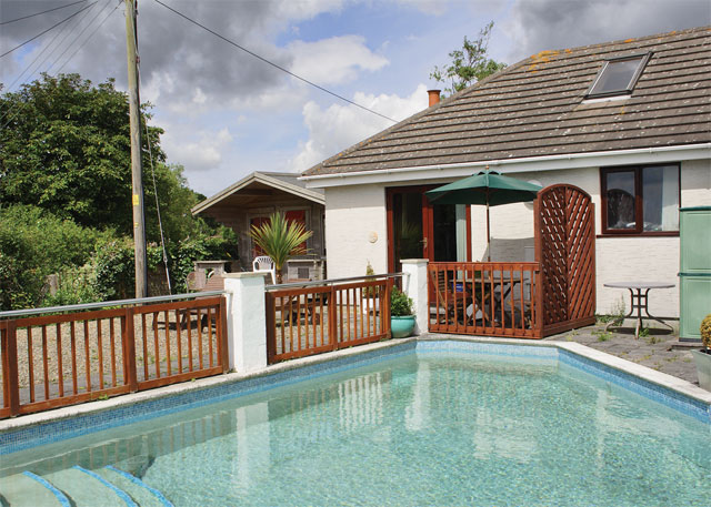 Unbranded Little Gem