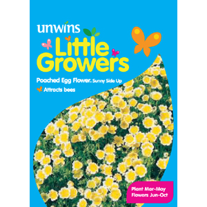 Unbranded Little Growers Poached Egg Flower Sunny-Side
