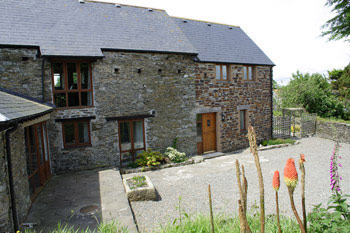 Unbranded Little Owls