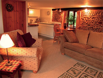 Unbranded Little Tern