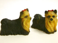 Little Yorkie by Heidi Ott