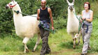 Unbranded Llama Trek for Four