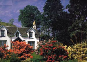 Cardboard jigsaw puzzle