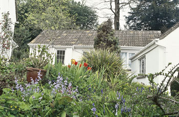 Unbranded Long Batch Cottage