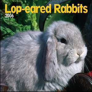 Lop-Eared Rabbits 2006 calendar