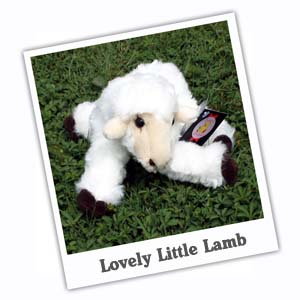 Unbranded Lovely Little Lamb