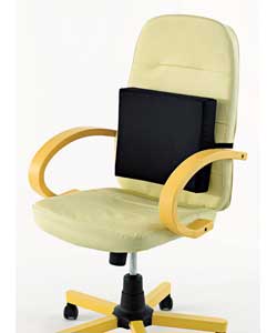 Unbranded Lumbar Support Cushion