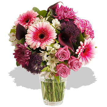 Unbranded Luscious Plum - flowers