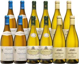 Unbranded Luxurious Burgundies - Mixed case