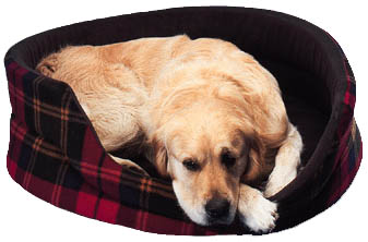 Luxury Pet Bed 80cm (32")