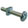 M6 x 100mm Roofing Bolt with Nut