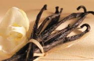 Unbranded Madagascan vanilla pods (14/16cm) 100g