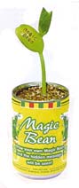 Magic Bean in a Can