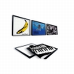 Unbranded Magnetic Record Frame