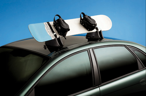 Magnetic Ski Carrier