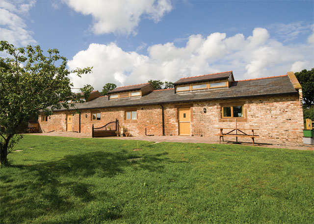 Unbranded Maguires Oak