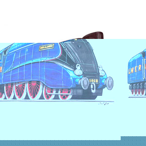 Unbranded Mallard Train - Blue Kids T-shirt