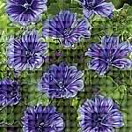 Unbranded Malva Blue Fountain 217512.htm