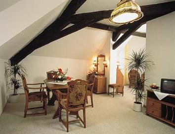 Unbranded Maly Pivovar, Ceske Budejovice