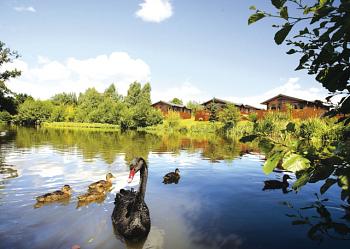 Unbranded Mandarin Lodge Holiday Park