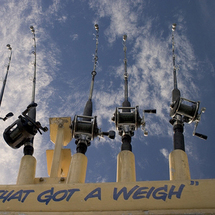 Unbranded Marlborough Sounds Fishing Excursion - Adult