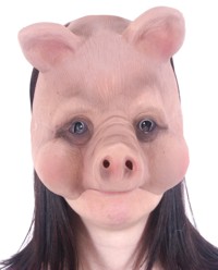 I think I look Pretty in Pig. Why not go to the party as Miss Piggy?