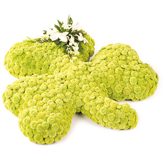 A massed shamrock with a white Orchid spray.