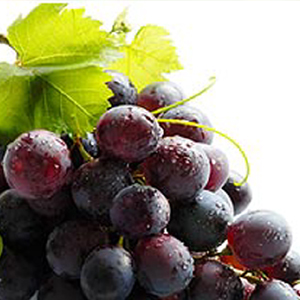 Unbranded Master the Art of Wine Tasting - Become a Wine