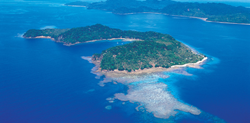 Unbranded Matangi Island Resort