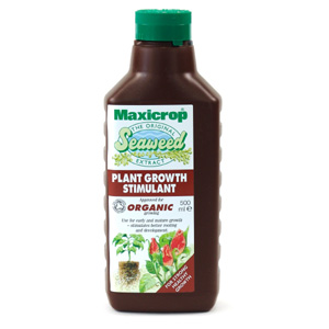 Concentrated Maxicrop Seaweed Extract will help you to grow stronger  healthier plants  flowers and 