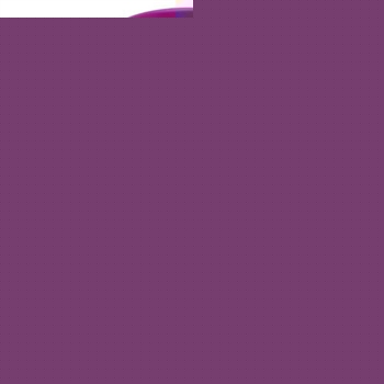 Unbranded Maxitone Sculptress Diet - Weight Loss System -