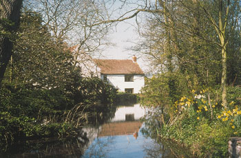 Unbranded Maxmills Cottage