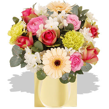 Unbranded Mayflower - flowers