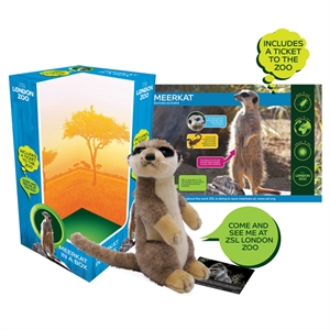 Unbranded Meerkat In A Box Including London Zoo Ticket
