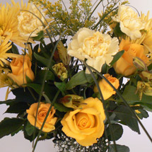 Unbranded Mellow Yellow