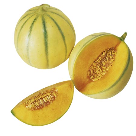 Unbranded Melon Lunabel F1 Seeds 8 seeds