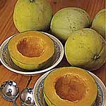 Unbranded Melon Sweetheart F1 Seeds 437392.htm