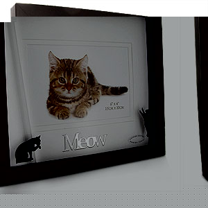 Unbranded Meow Cat 6 x 4 Photo Frame