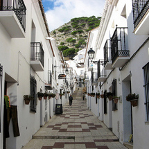 Unbranded Mijas and the Fuengirola Market - Adult