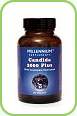 MILLENIUM CANDIDA 2000 PLUS