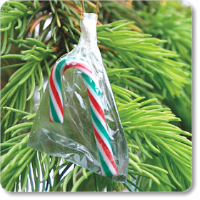 Twelve traditional mint flavoured mini candy canes individually wrapped  so could be given as a
