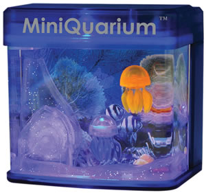 MiniQuarium