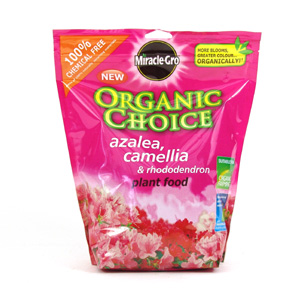 Unbranded Miracle-Gro Organic Choice azalea camellia Plant