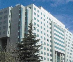 Unbranded Mirasierra Suites Hotel