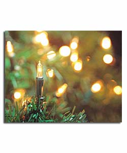 Mix n; Match - 40 Fairy Lights