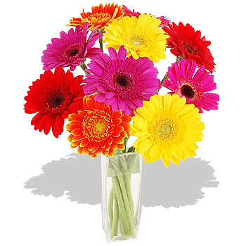 Unbranded Mixed Germinis Bouquets - flowers