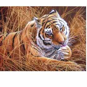 Moment of Calm by Dr Jeremy Paul Overseas Delivery