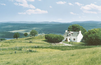 Unbranded Mor Carraig