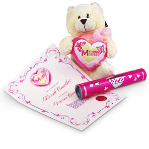 Unbranded Mothers Day Teddy Bear and Personalised