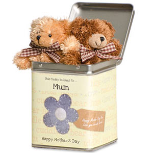 Unbranded Mothers Day Teddy Keyrings in Keepsake Tin